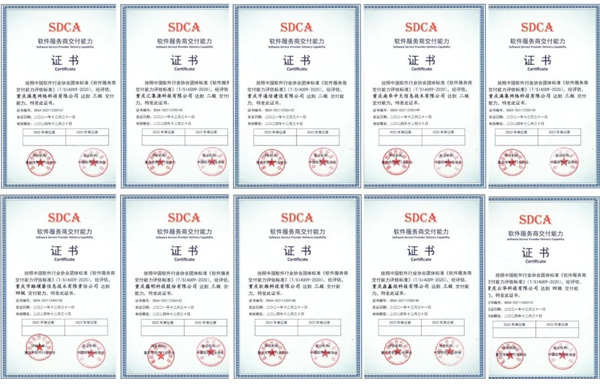 恭喜，，，重庆首批10家单位通过软件服务商交付能力评估